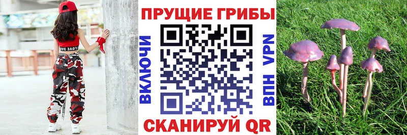 Псилоцибиновые грибы MAGIC MUSHROOMS Александров